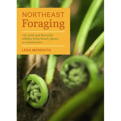 Northeast Foraging: 120 Wild and Flavorful Edibles from Beach Plums to Wineberries - Paperback - iShook Books