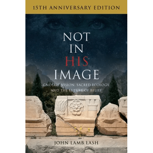 Not in His Image (15th Anniversary Edition): Gnostic Vision, Sacred Ecology, and the Future of Belief - Paperback - iShook Books