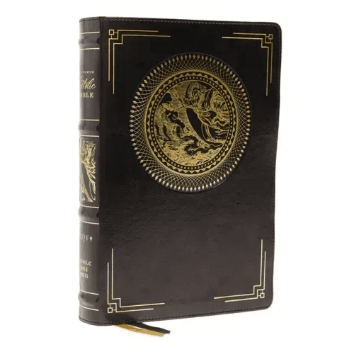 Nrsvce, Illustrated Catholic Bible, Leathersoft, Comfort Print: Holy Bible - Imitation Leather - iShook Books