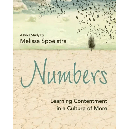 Numbers - Women's Bible Study Participant Workbook: Learning Contentment in a Culture of More - Paperback - iShook Books