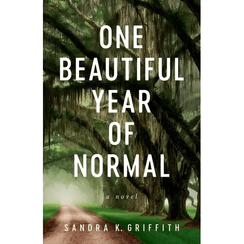 One Beautiful Year of Normal - Paperback - iShook Books
