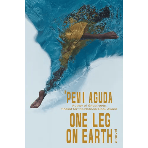 One Leg on Earth - Hardcover - iShook Books