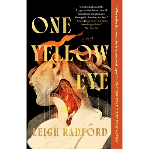 One Yellow Eye - Paperback - iShook Books