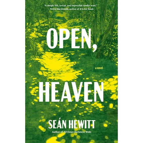 Open, Heaven - Paperback - iShook Books