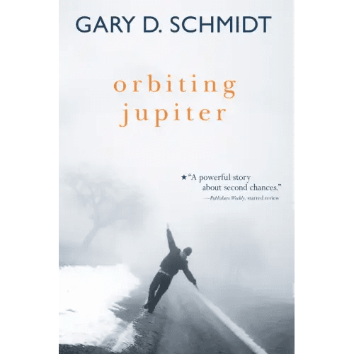 Orbiting Jupiter - Paperback - iShook Books