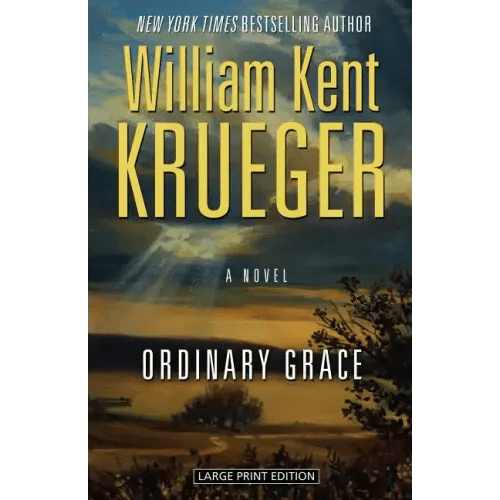 Ordinary Grace - Paperback - iShook Books