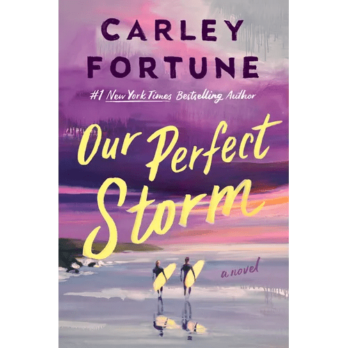 Our Perfect Storm - Hardcover - iShook Books