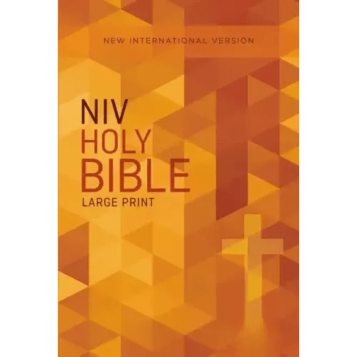 Outreach Bible - NIV - Paperback - iShook Books