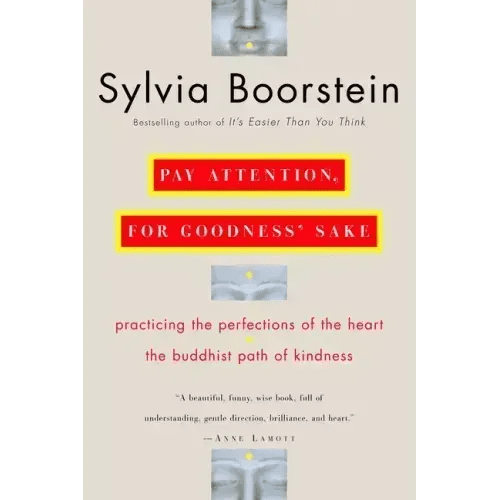 Pay Attention, for Goodness' Sake: The Buddhist Path of Kindness - Paperback - iShook Books