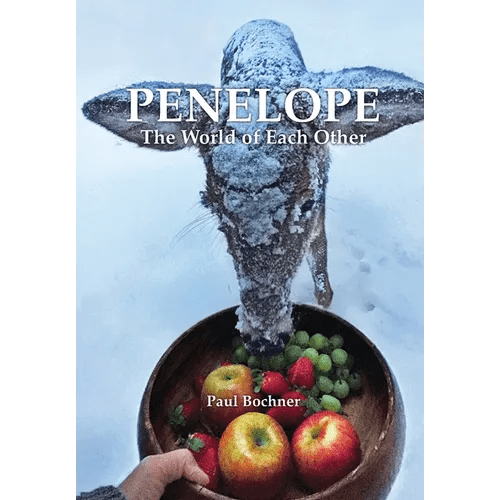 Penelope: The World of Each Other - Hardcover - iShook Books