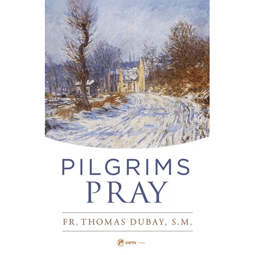 Pilgrims Pray - Paperback - iShook Books