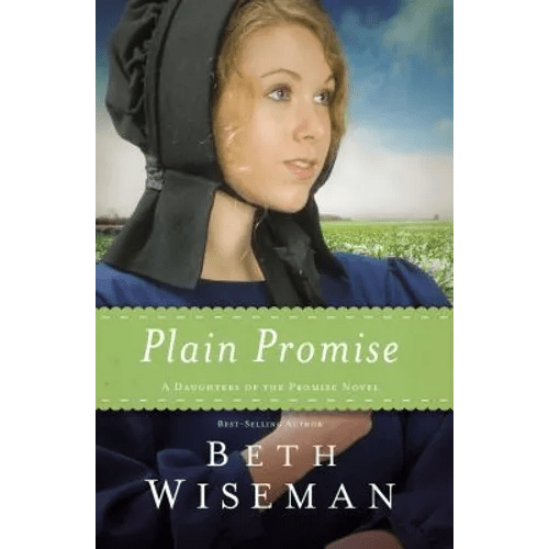Plain Promise - Paperback - iShook Books
