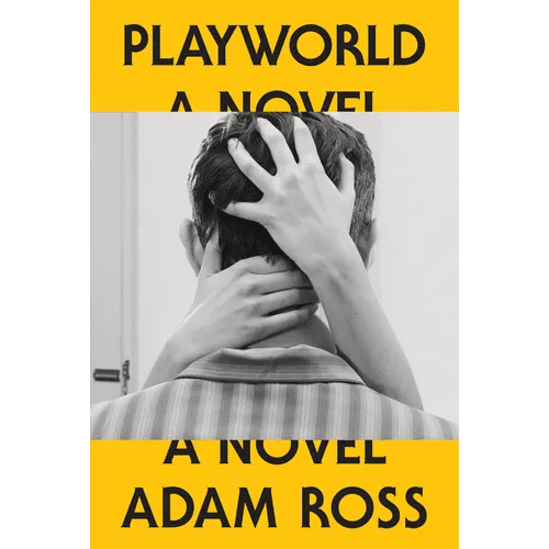 Playworld - Hardcover - iShook Books