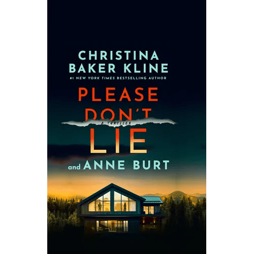 Please Don't Lie: A Thriller - Hardcover - iShook Books