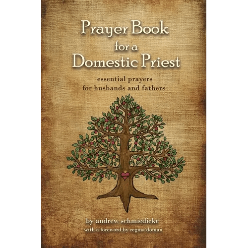 Prayer book for a Domestic Priest - Paperback - iShook Books