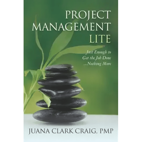 Project Management Lite: Just Enough to Get the Job Done...Nothing More - Paperback - iShook Books