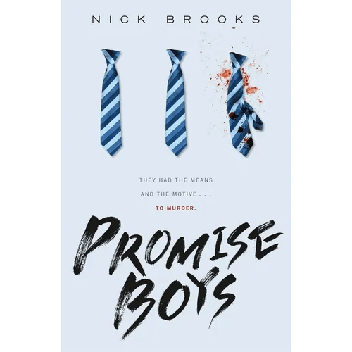 Promise Boys - Paperback - iShook Books