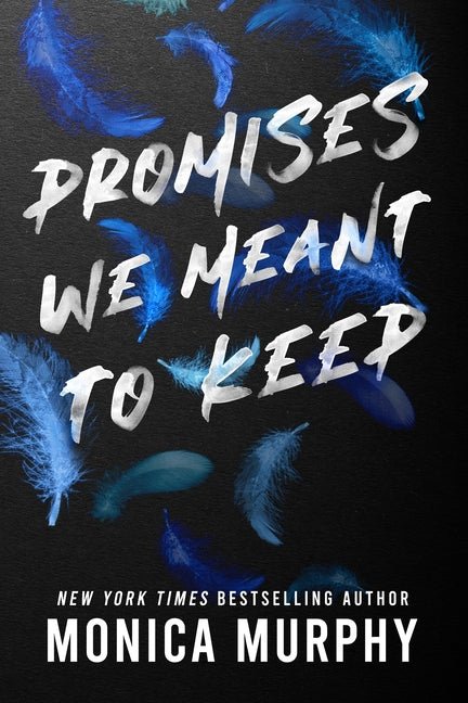 Promises We Meant to Keep - iShook Books