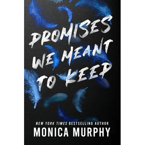 Promises We Meant to Keep - Paperback - iShook Books