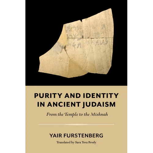 Purity and Identity in Ancient Judaism: From the Temple to the Mishnah - Paperback - iShook Books