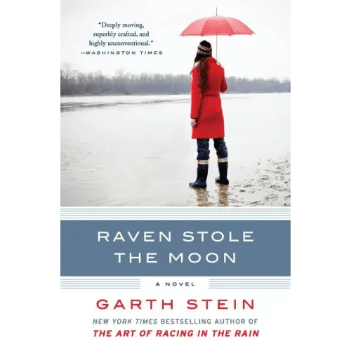 Raven Stole the Moon - Paperback - iShook Books