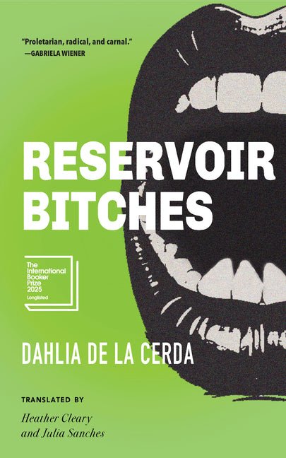 Reservoir Bitches: Stories - iShook Books