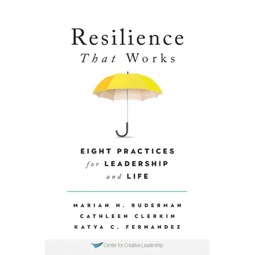 Resilience That Works: Eight Practices for Leadership and Life - Paperback - iShook Books