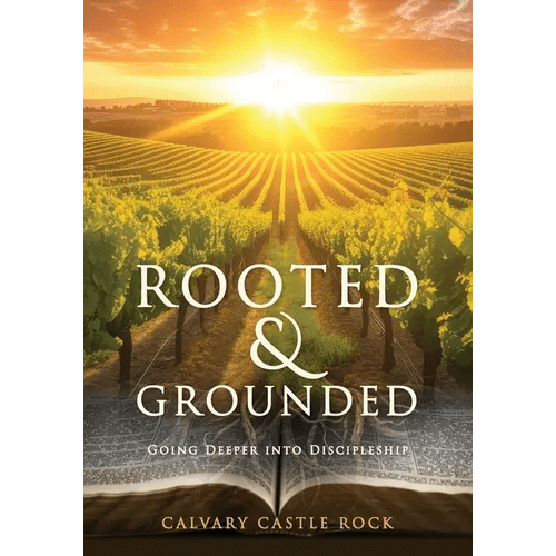 Rooted and Grounded: Going Deeper Into Discipleship - Paperback - iShook Books