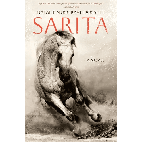 Sarita - Paperback - iShook Books