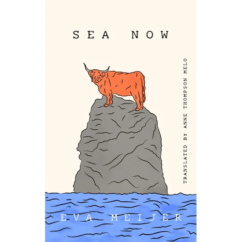 Sea Now - Paperback - iShook Books
