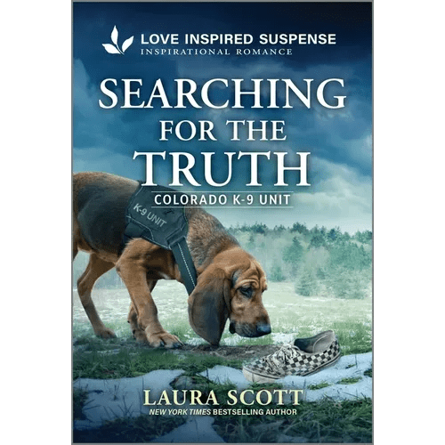 Searching for the Truth - Mass Market Paperbound - iShook Books