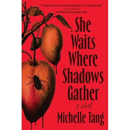 She Waits Where Shadows Gather - Paperback - iShook Books