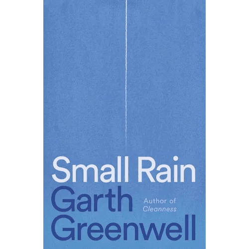 Small Rain - Hardcover - iShook Books