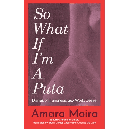 So What If I'm a Puta: Diaries of Transness, Sex Work, Desire - Paperback - iShook Books