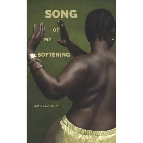 Song of My Softening - Paperback - iShook Books