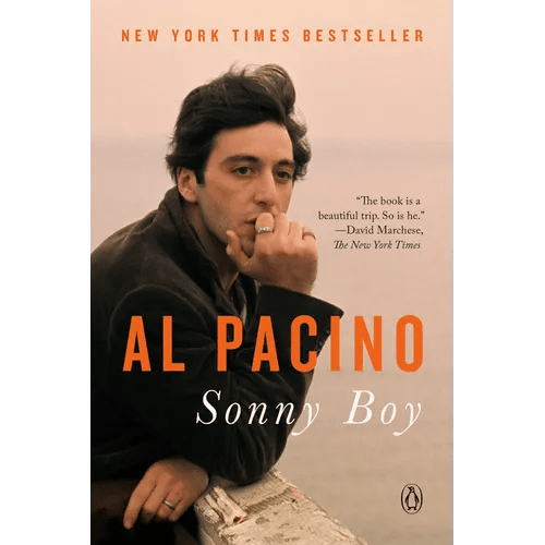 Sonny Boy: A Memoir - Paperback - iShook Books