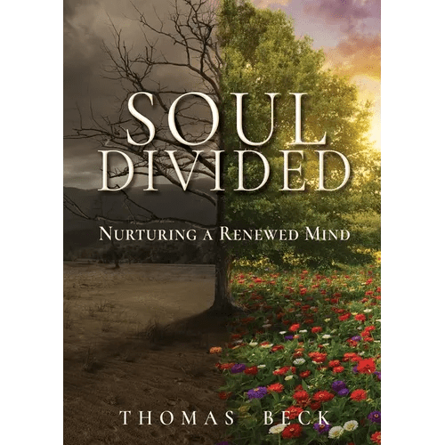 Soul Divided: Nurturing a Renewed Mind - Paperback - iShook Books