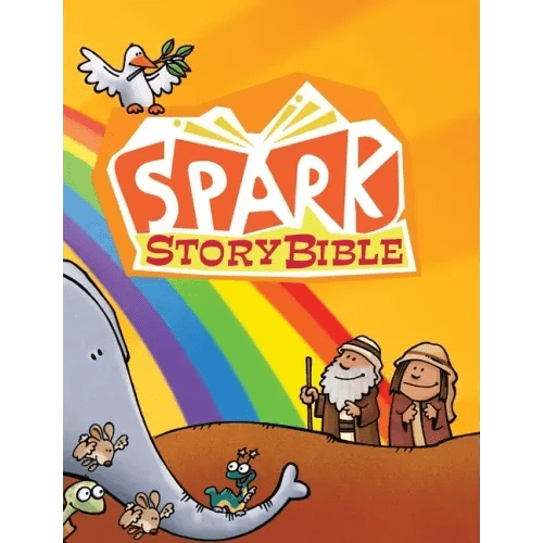 Spark Story Bible: Sunday School Edition - Hardcover - iShook Books