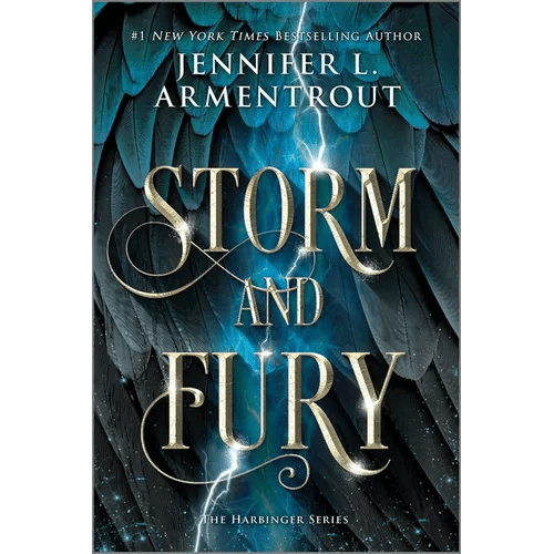 Storm and Fury - Paperback - iShook Books