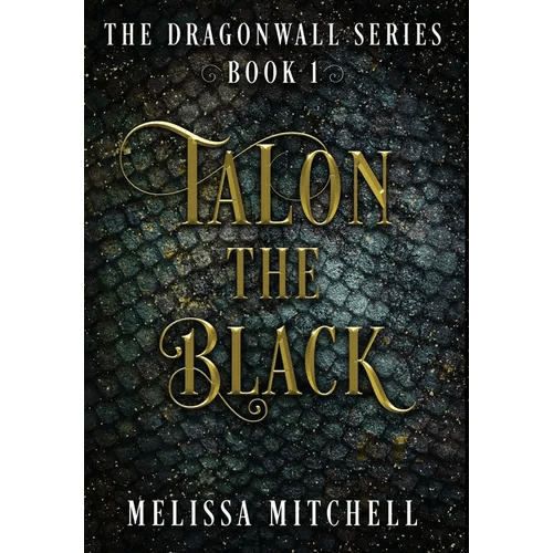 Talon the Black: A Slow Burn Fantasy Series - Hardcover - iShook Books