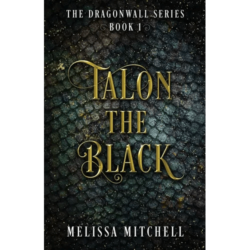 Talon the Black: A Slow Burn Fantasy Series - Paperback - iShook Books
