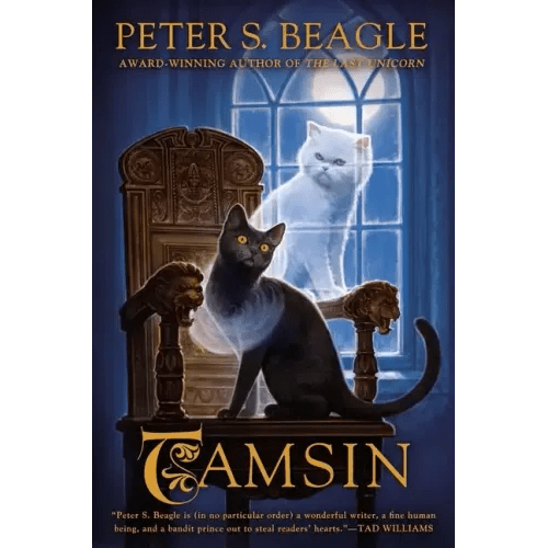 Tamsin - Paperback - iShook Books