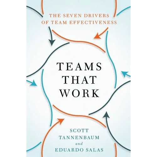 Teams That Work: The Seven Drivers of Team Effectiveness - Paperback - iShook Books