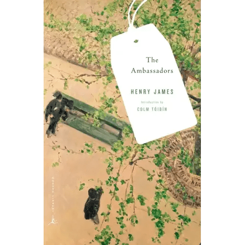 The Ambassadors - Paperback - iShook Books