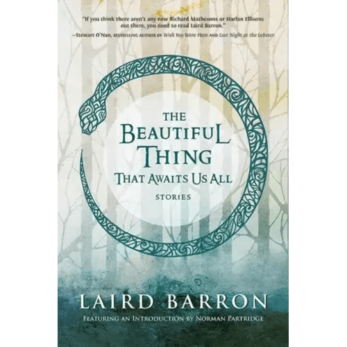 The Beautiful Thing That Awaits Us All - Paperback - iShook Books