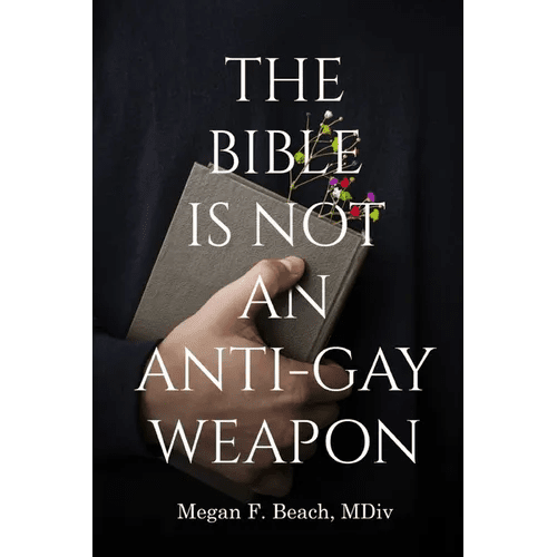 The Bible is Not an Anti - Gay Weapon - Paperback - iShook Books