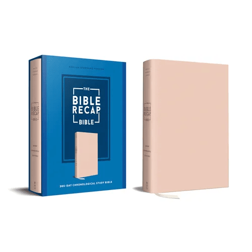 The Bible Recap 365-Day Chronological Study Bible: English Standard Version - Imitation Leather, Pink - Imitation Leather - iShook Books