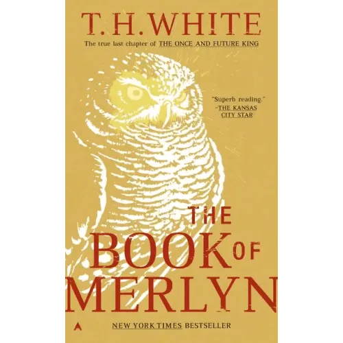 The Book of Merlyn - Paperback - iShook Books