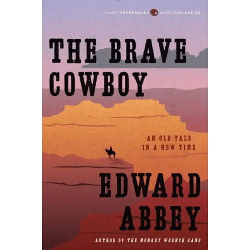 The Brave Cowboy: An Old Tale in a New Time - Paperback - iShook Books