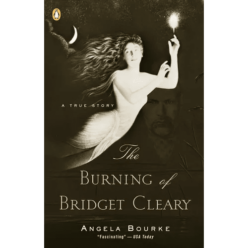The Burning of Bridget Cleary: A True Story - Paperback - iShook Books